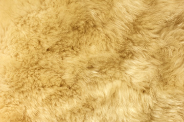 Brown shaggy natural sheep fur texture for background 