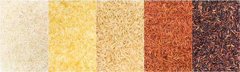 Set of the backgrounds of the uncooked different rice