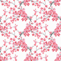 Fototapeta premium Seamless floral pattern. watercolor branches of cherry blossoms on a white background. 
