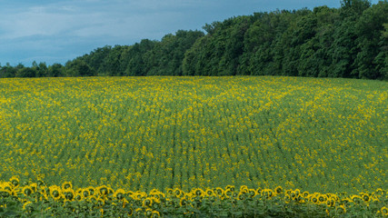 Слободское