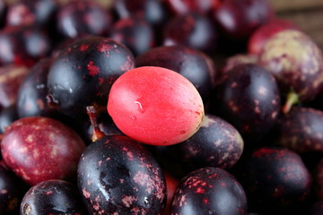 karonda fruit for health herb in thailand