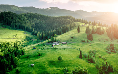 Obraz premium Amazing landscape view of ukrainian Carpathian mountains