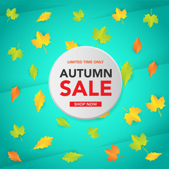 Autumn sale banner template with leaves, fall leaves for shopping sale. banner design. Poster, card, label, web banner. Vector illustration