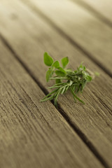 rosemary and oregano on wooden table