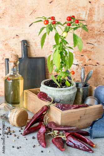 Spice Pepper Red Bitter In The Pods Ground In Jars And Decorative Enchanting Decorative Pepper Jars Spice Pepper Red Bitter In The Pods Ground In Jars And Decorative Enchanting Decorative Pepper Jars