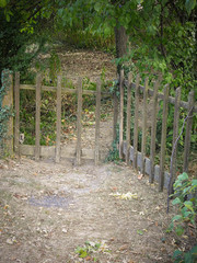 Old fence gate