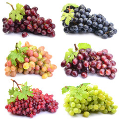 Bunch of grapes on a white background