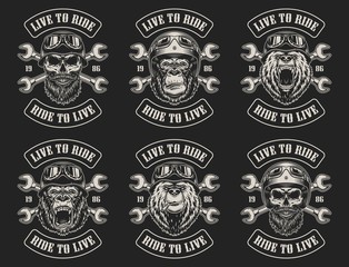 Obraz premium Set of biker emblems