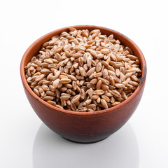 spelt seeds on a white acrylic background