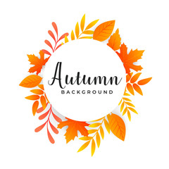 autumn leaves background with text space