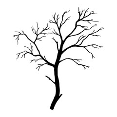 hand drawn tree without leaves