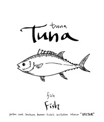 해산물 일러스트 / 손으로 그린 수산물 그림