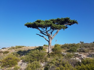 Chorwacja wyspa Hvar