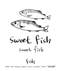 해산물 일러스트 / 손으로 그린 수산물 그림