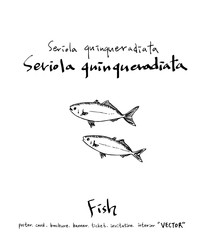 해산물 일러스트 / 손으로 그린 수산물 그림