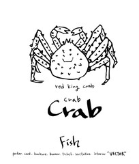 해산물 일러스트 / 손으로 그린 수산물 그림