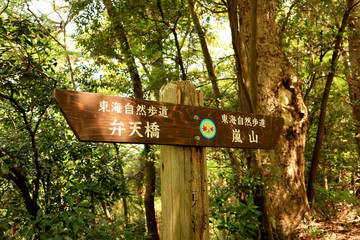 Forest Hiking at Arashi-yama Mountain, at Takao.