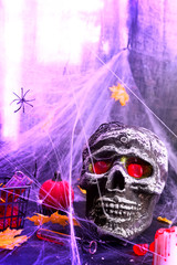 Still life with human skull and autumn leaves, spider on black violet Panton halogen background