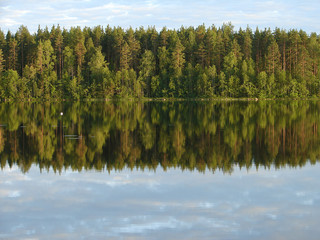 Reflection of the forest in the lake