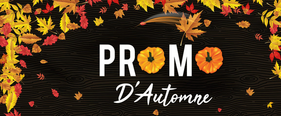 Promo D'Automne