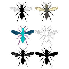  beetle with wings, set