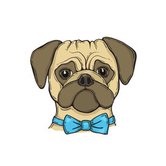 Head Dog pug with bow tie, hand-painted portrait.