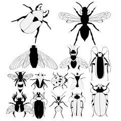 set of silhouettes of black and white, insects of beetles, ants, bees