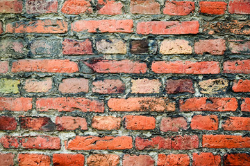 Old Vintage red brick wall. Grunge Backgrounds.