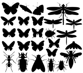  isolated, insects set of silhouettes