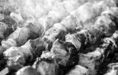 meat on skewers roasted on coals
