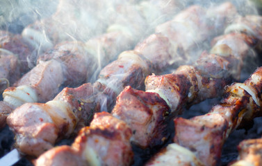 meat on skewers roasted on coals
