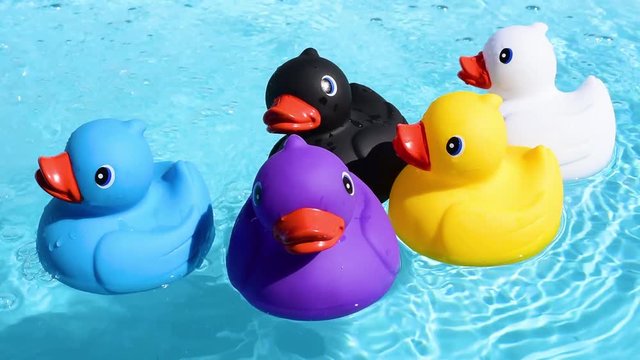 Five colourful rubber ducks floating relaxed and casually on the sparkling and crystal clear water of a pool in summer light