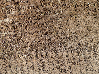Concrete texture