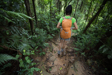 Naklejka na ściany i meble backpacking woman hiking on trail in rainforest