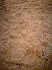 Sand