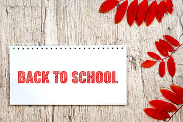 back to school - red hatching text in notebook with autumn leaves