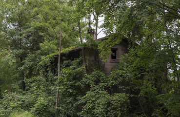 Fototapeta na wymiar Abandoned house covered by trees