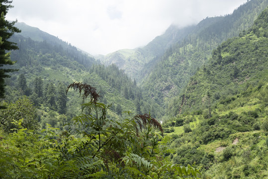 parvati valley