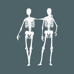 Human skeleton standing and hugging. Halloween party design template. Friends embrace