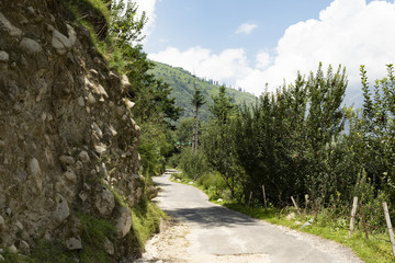 Fototapeta premium road to manali