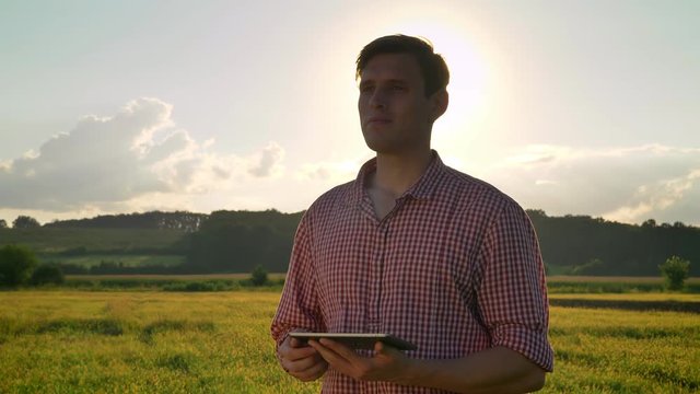 Young confident agronomist holding tablet and looking at wheat field around, beautiful nature with sunset in background