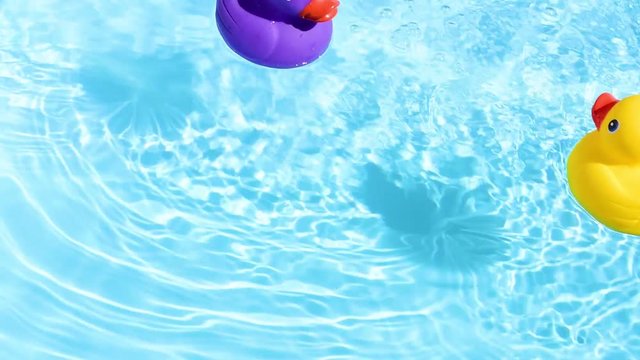 A yellow and purple rubber duck can be relaxed and casually drifted back and forth on the sparkling and crystal-clear water of a pool