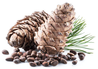 Pine nut cones and pine nuts on the white background. Organic food.