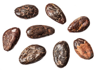 Cocoa beans isolated on white background.