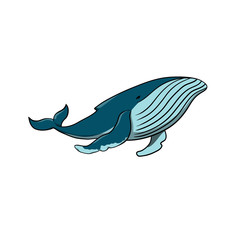 Vector cute cartoon whale on white background. Whale vector illustration.