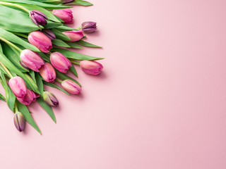 Delicate pink tulips on lightpink background.