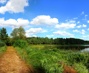 Obraz premium Panoramic image of a forest lake in summer.