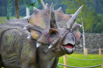 Naklejka premium Model dinozaura Triceratops
