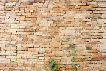 brick wall texture  background