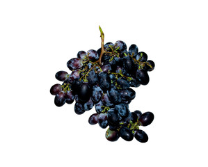 bunch of blue grapes